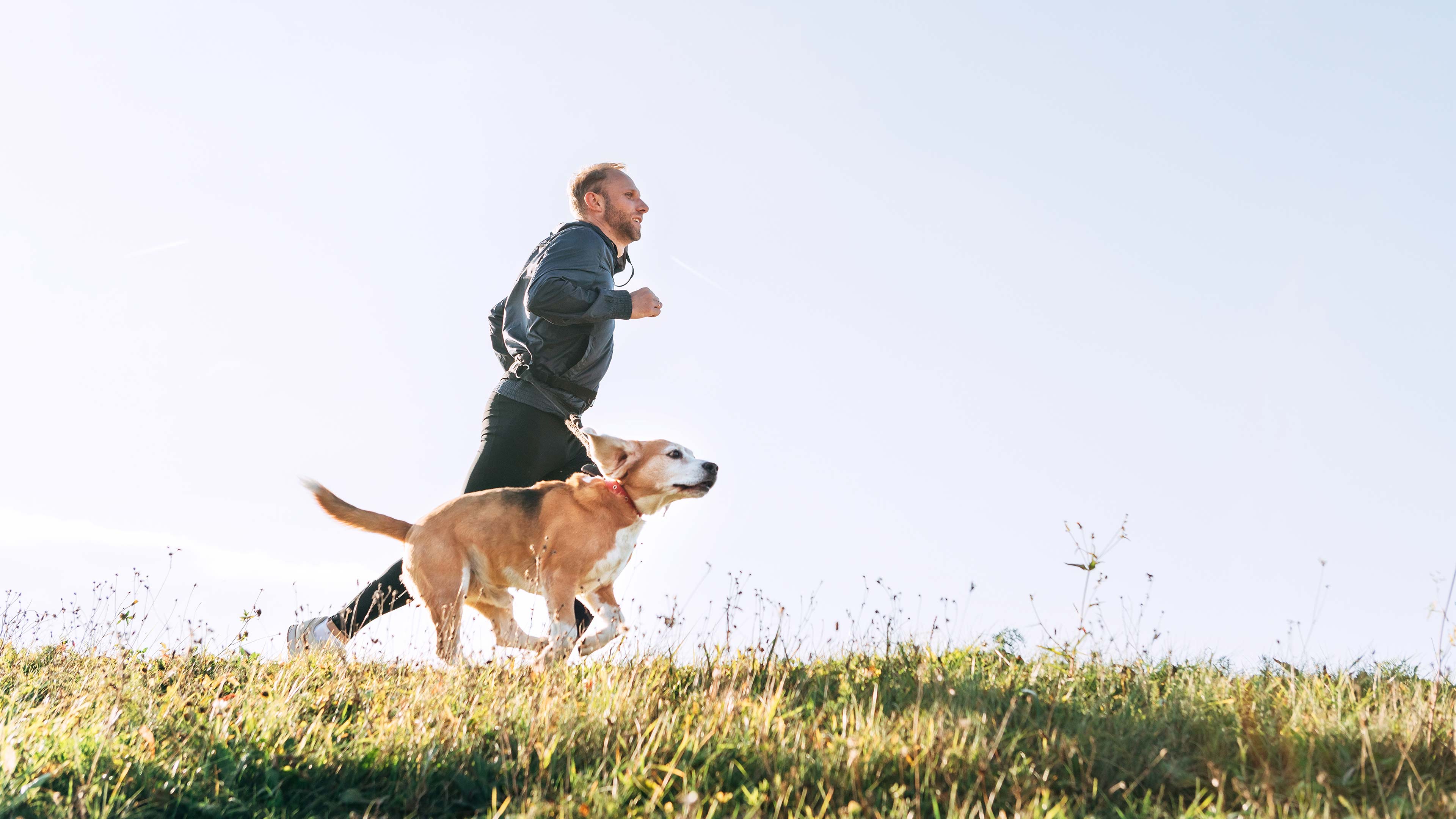 Person in sports gear running with their dog in nature