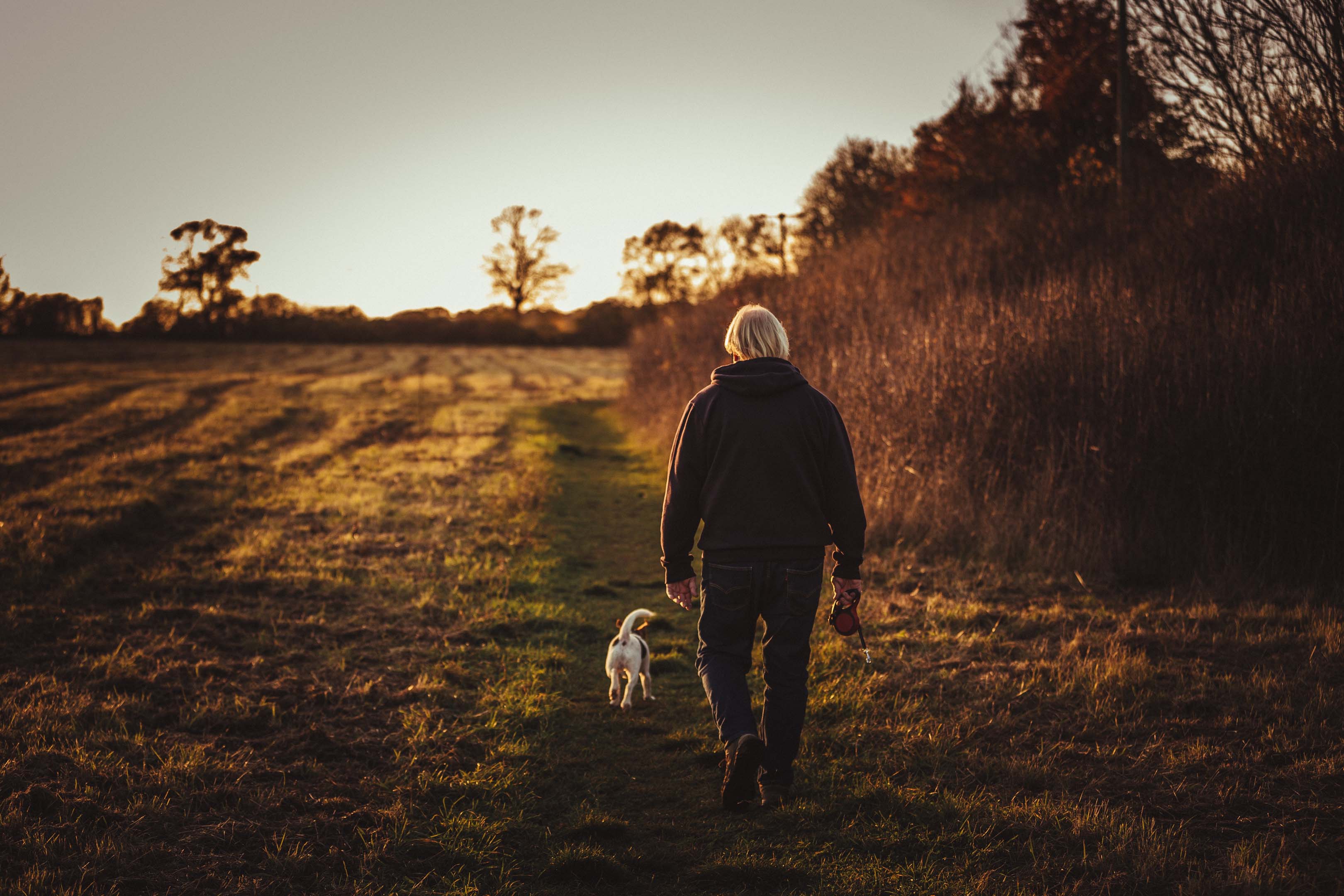Person walking their dog through a field at sunrise