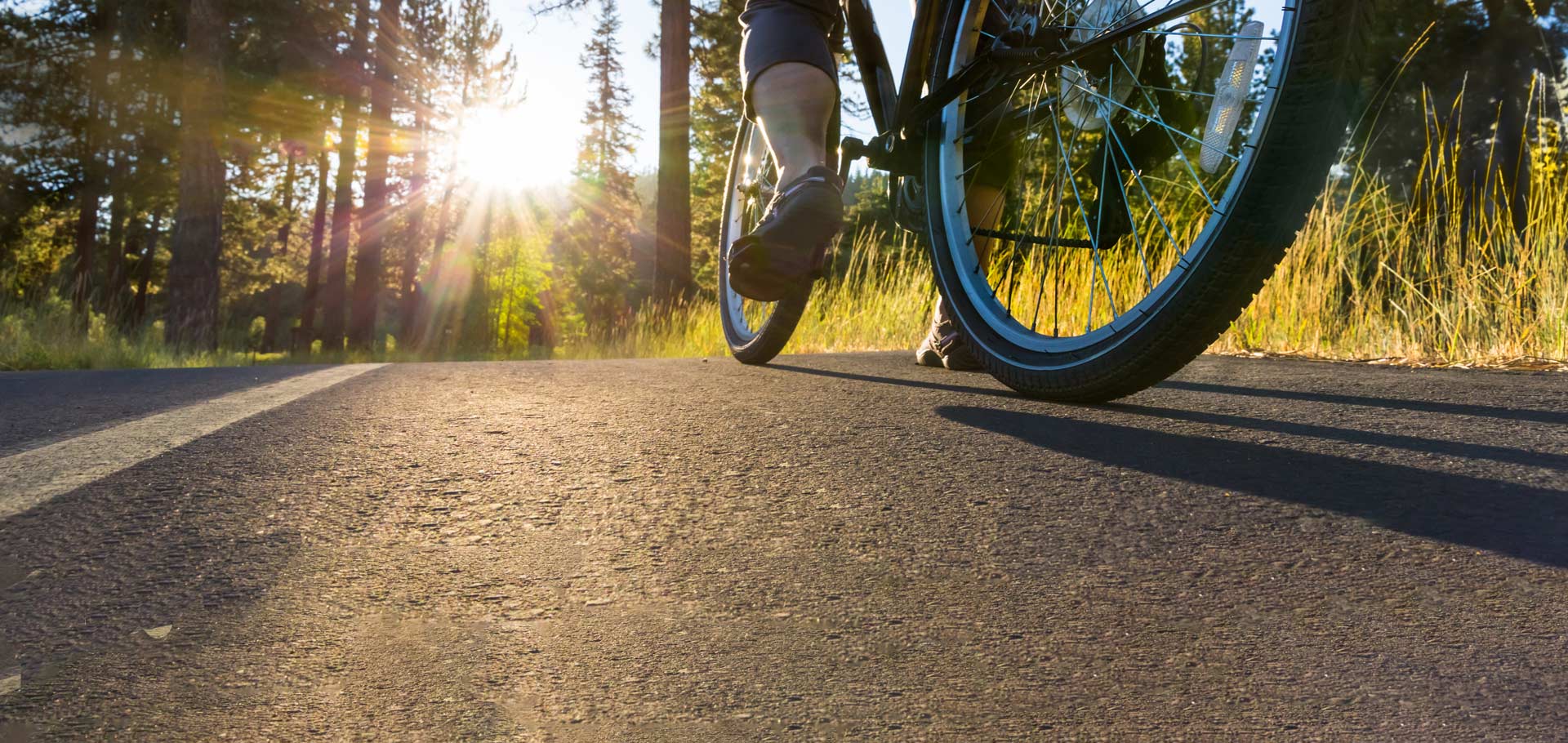 Cyclist riding down tarmac road through woodlands and forest
