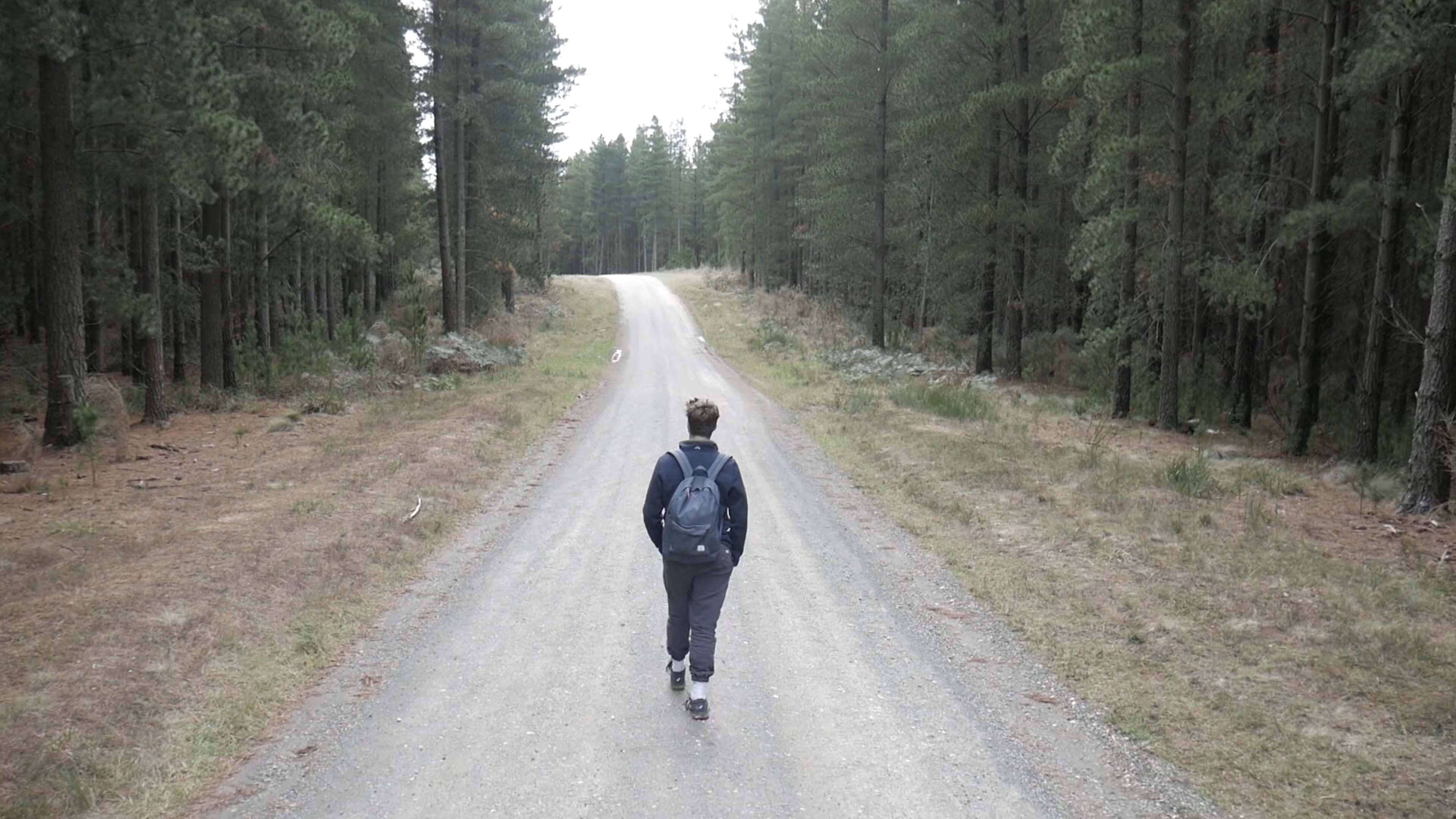 A person walking alone on a road through a green forest to boost resilience 