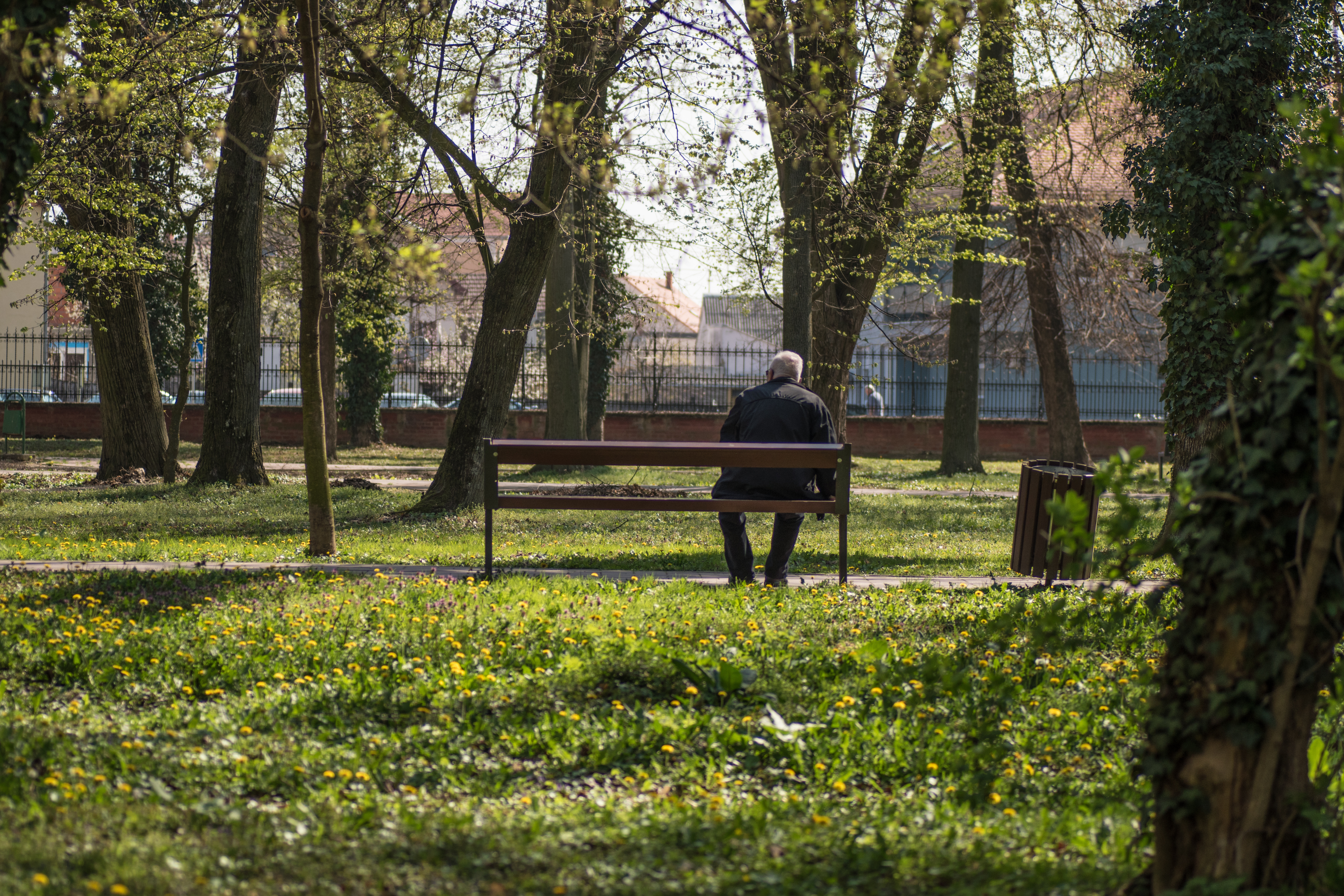 A person sitting alone on a bench in the park