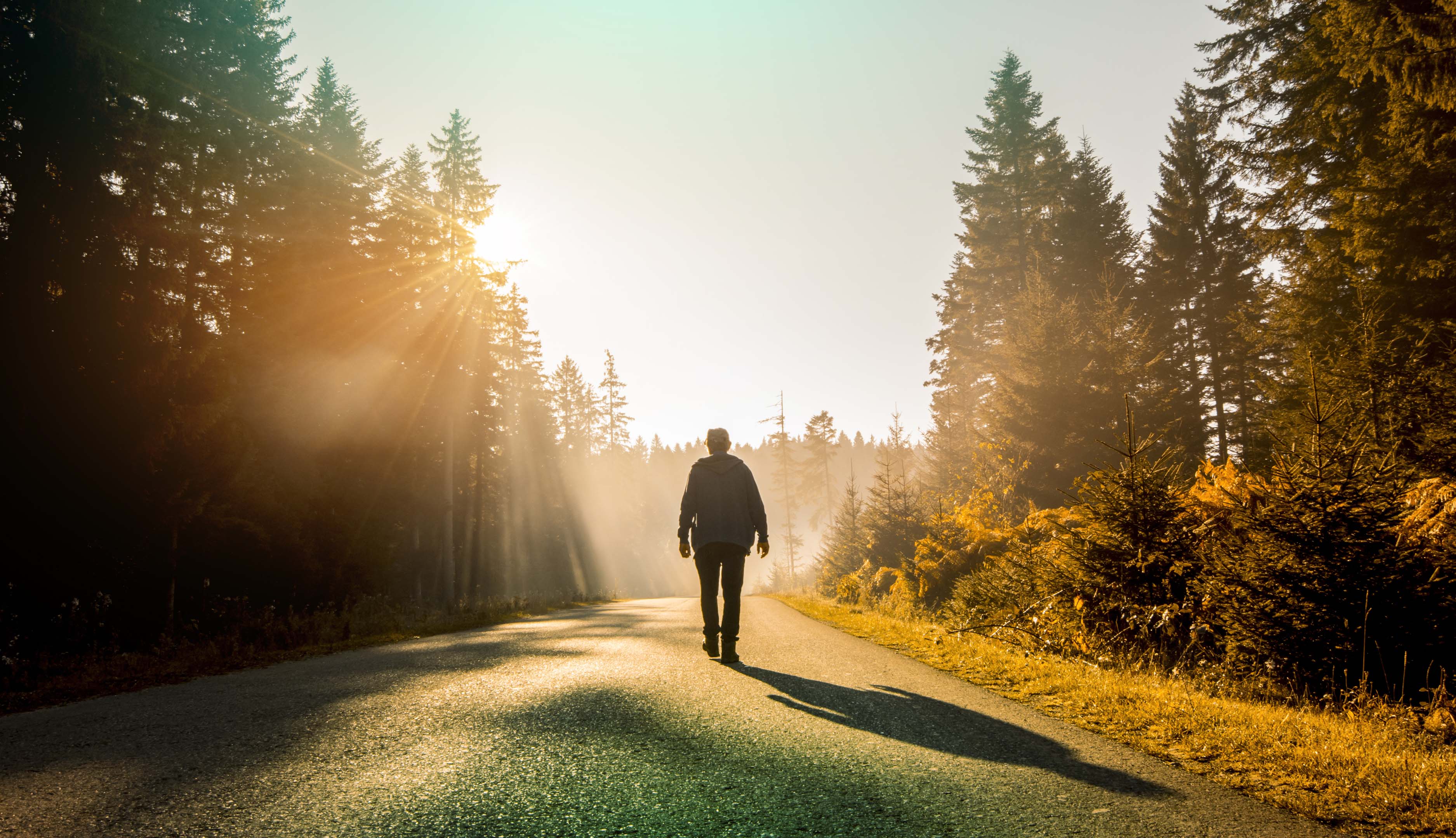 Person walking down a tree lined road to boost with their mental health